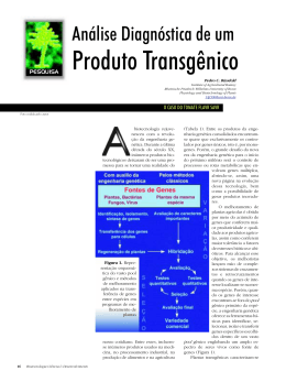 Produto Transg&ecirc;nico