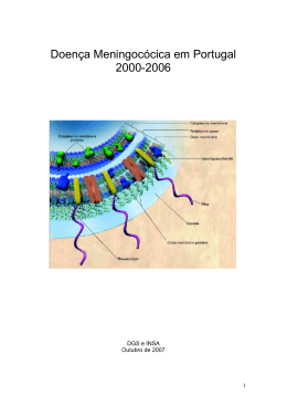 Doença Meningocócica em Portugal 2000-2006 - Direcção