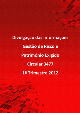 Divulga&ccedil;&atilde;o das Informa&ccedil;&otilde;es Gest&atilde;o de Risco e