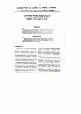 Full paper