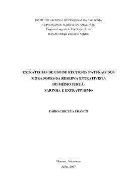 Disserta&ccedil;&atilde;o_Fabio Chicuta Franco - BDTD
