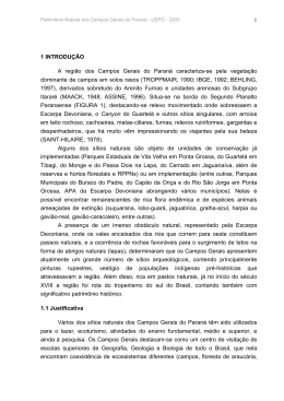 "Caracteriza&ccedil;&atilde;o do patrim&ocirc;nio natural dos Campos Gerais do Paran&aacute;"