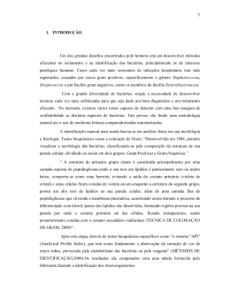 1 1. INTRODU&Ccedil;&Atilde;O Um dos grandes desafios encontrados pelo