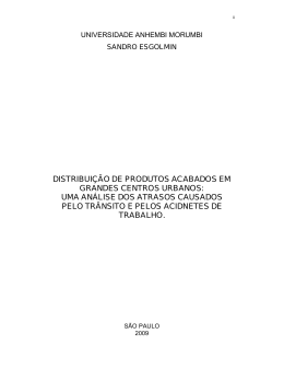 distribui&ccedil;&atilde;o de produtos acabados em grandes centros urbanos