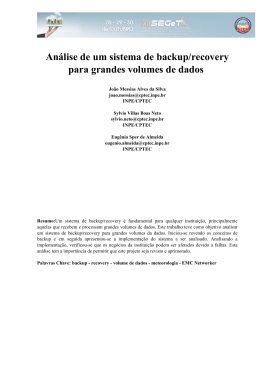 An&aacute;lise de um sistema de backup/recovery para grandes