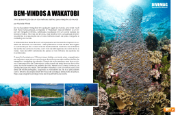 DIVEMAG | Edição 37 | International Dive Magazine