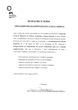 Despacho n&ordm;8/2010