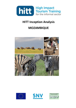 HITT Inception Analysis MOZAMBIQUE