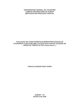 (Disserta\347\343o final - Thiago)