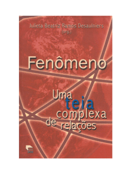 Fen&ocirc;meno: uma teia complexa de rela&ccedil;&otilde;es