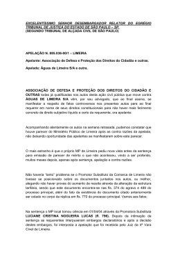 excelentíssimo senhor desembargador relator do egrégio tribunal