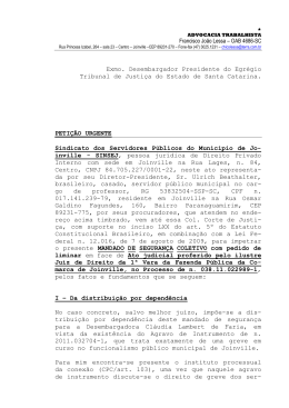 Exmo. Desembargador Presidente do Egr&eacute;gio Tribunal de