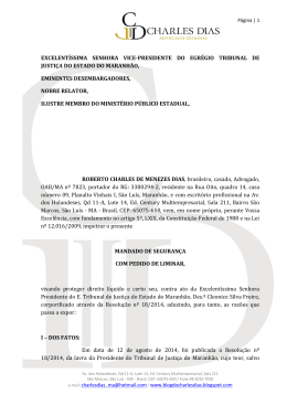 excelent&iacute;ssima senhora vice-presidente do egr&eacute;gio tribunal de