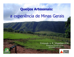 Queijo Minas