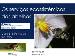 Os serviços ecossistêmicos das abelhas