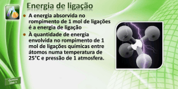 Roteiro : Cartela PDF 1