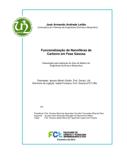 Funcionaliza&ccedil;&atilde;o de Nanofibras de Carbono em Fase Gasosa