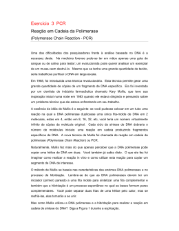Exerc&iacute;cio 3 PCR Rea&ccedil;&atilde;o em Cadeia da Polimerase