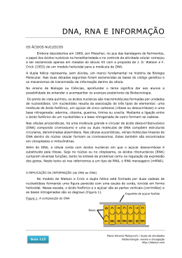 115 DNA, RNA e informa&ccedil;&atilde;o PDF (P) para 766 KB