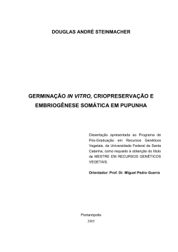 germina&ccedil;&atilde;o in vitro, criopreserva&ccedil;&atilde;o e embriog&ecirc;nese som&aacute;tica em