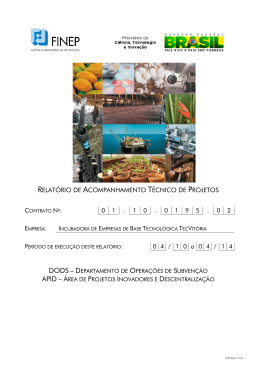 instru&ccedil;&otilde;es b&aacute;sicas para a elabora&ccedil;&atilde;o de relat&oacute;rios de