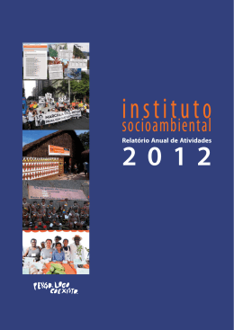 Relatório de atividades 2012