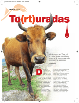 Tradição ou crueldade? O que está por trás das touradas