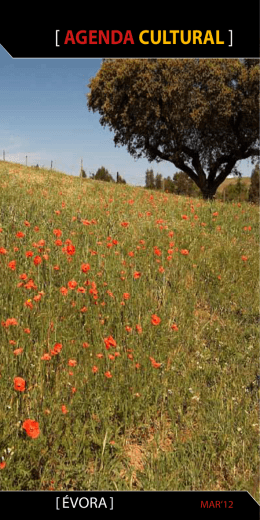 [ AGENDA CULTURAL ] - C&acirc;mara Municipal de &Eacute;vora