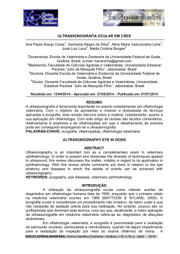 ULTRASSONOGRAFIA OCULAR EM C&Atilde;ES Ana Paula Araujo