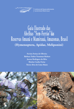 Guia Ilustrado das Abelhas &ldquo;Sem-Ferr&atilde;o&rdquo;