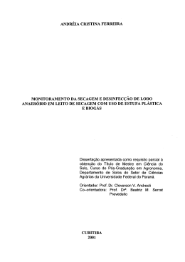 ANDR&Eacute;IA CRISTINA FERREIRA MONITORAMENTO DA SECAGEM