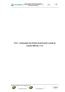II.3.G &ndash; Composi&ccedil;&atilde;o dos fluidos de perfura&ccedil;&atilde;o e pasta de cimento