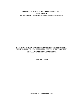 Disserta&ccedil;&atilde;o em PDF