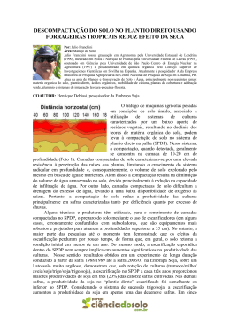 descompacta&ccedil;&atilde;o do solo no plantio direto usando forrageiras
