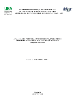 Nat&aacute;lia Martins da Silva - uea