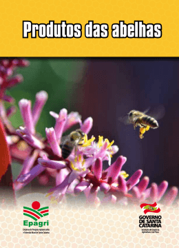 Produtos das abelhas