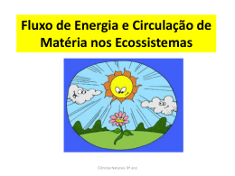 Fluxo de Energia nos Ecossistemas