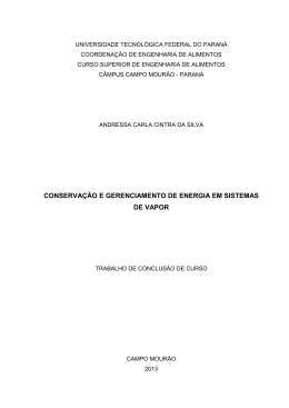 conserva&ccedil;&atilde;o e gerenciamento de energia em sistemas de vapor