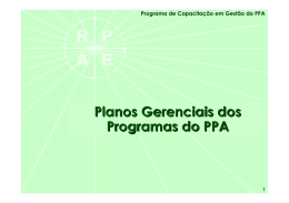 Roteiro de Elabora&ccedil;&atilde;o Planos Gerenciais dos Programas do PPA