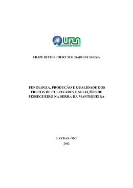 DISSERTA&Ccedil;&Atilde;O Fenologia, produ&ccedil;&atilde;o e qualidade dos frutos de