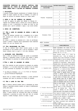 Piment&atilde;o - Porto Seguro