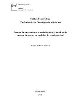 Desenvolvimento de vacinas de DNA contra o v&iacute;rus da dengue