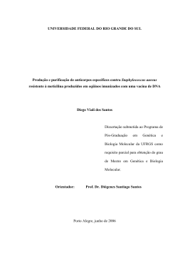 Produ&ccedil;&atilde;o e purifica&ccedil;&atilde;o de anticorpos espec&iacute;ficos contra