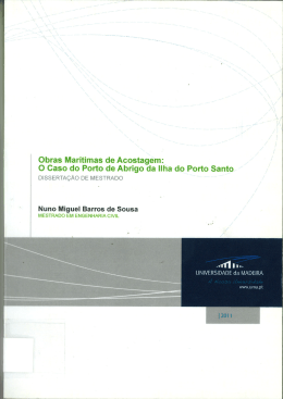 Nuno Miguel Barros de Sousa