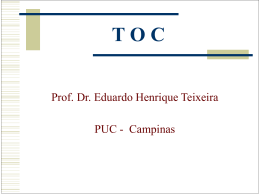 Prof. Dr. Eduardo Henrique Teixeira PUC - Campinas