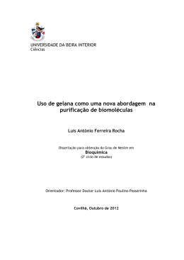 Disserta&ccedil;&atilde;o Luis Rocha - uBibliorum