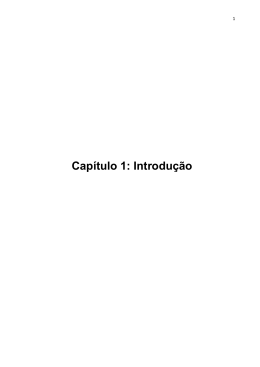 Dissertação - Jorge R de Carvalho