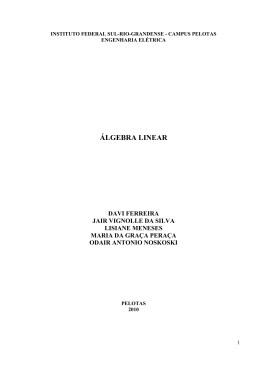 Apostila &Aacute;lgebra Linear