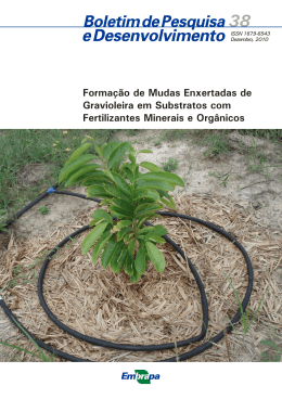Forma&ccedil;&atilde;o de Mudas Enxertadas de Gravioleira em Substratos com