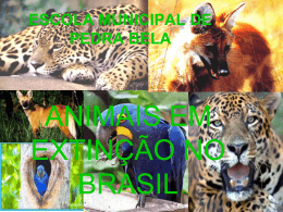 ESCOLA MUNICIPAL DE PEDRA BELA